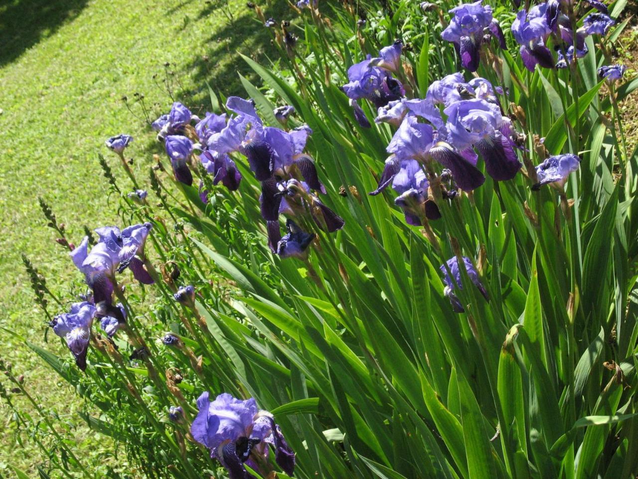 Les Jardins De La Grange Bed & Breakfast Rezonville Luaran gambar